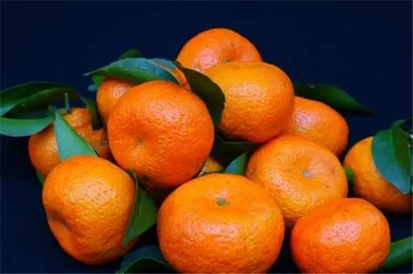 砂糖橘能够化痰吗 哪些人不能吃砂糖橘